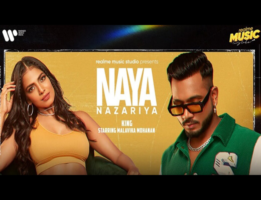 नया नज़रिया Naya Nazariya Hindi Lyrics – King